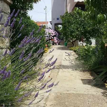 Lucija