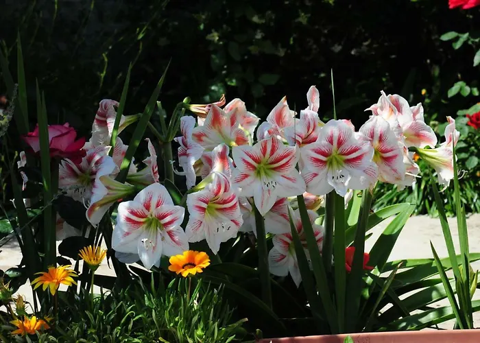 Lucija Lägenhet Zadar